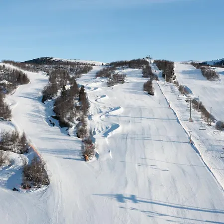 Timber With Mountain View