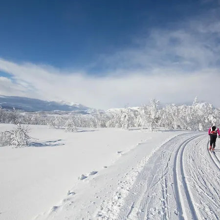 Ferienhaus Timber With Mountain View Beitostolen