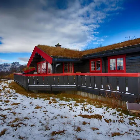 Timber With Mountain View