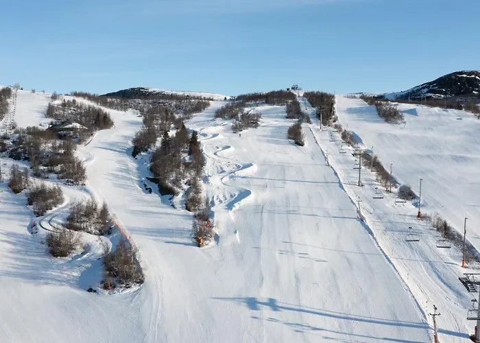 Timber With Mountain View