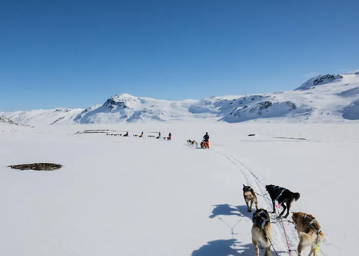 Timber With Mountain View Ferienhaus