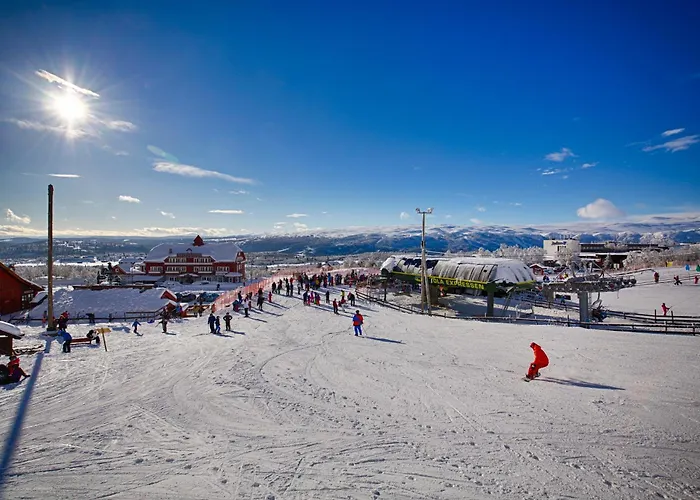 Timber With Mountain View * Beitostolen