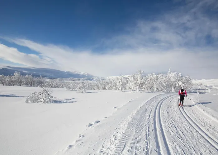 Ferienhaus Timber With Mountain View Beitostolen
